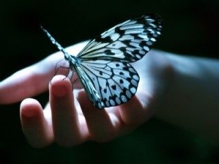 � caduto il giorno