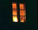 Le luci della sera  