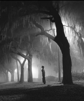 Pensiero d�inverno  