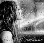 Dove cade la neve  