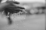 L�ultima poesia