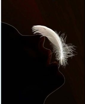 Il fiore dell�amore