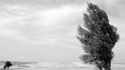 Di te scrive il mare