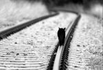 E cadr� ancora la neve