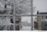 Ho radici nella neve