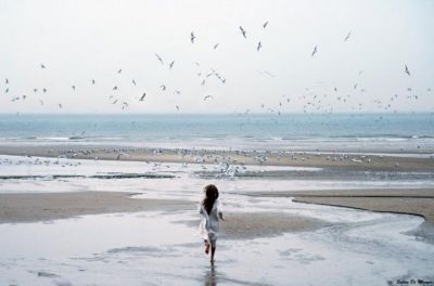 Ombre sul mare