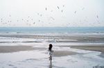 Ombre sul mare