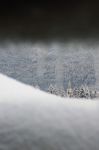 La neve sui ciliegi