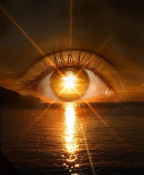 Luce