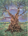 Dove Vai?  