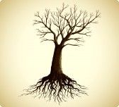 Ho visto un albero
