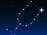 Calici di stelle  