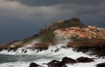 Pennellate d�autore