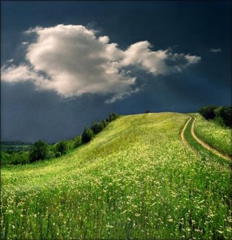 La vita e'