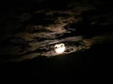 Notte  