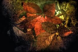 Autunno