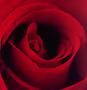 ed � per questo che ti amo!
