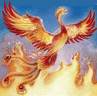 Cos� come l'araba fenice......