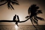 Follia d'amore