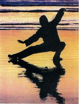 Tai chi all'aperto