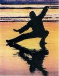 Tai chi all'aperto