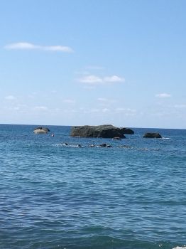 Mare �e penzieri