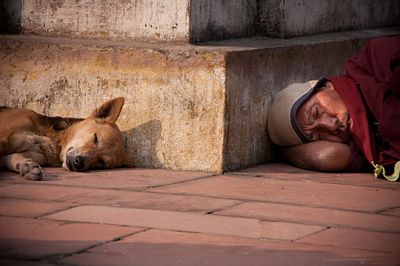 Povert�
