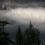 Dell'inverno