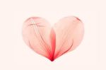Anche in un fiore batte il cuore