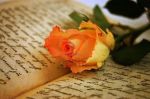 Custode di un profumo d�amore