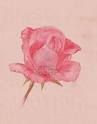 Nel cuore