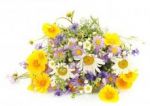 Fiori di campo (3)