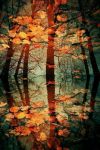 "Le foglie d�oro"