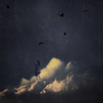 "L�amore del vento"