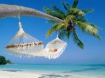 Forse � solo amore