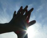 L�amore che non ti aspetti