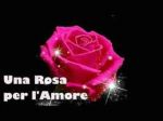 Ti regaler� una rosa
