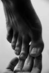 L�impronta