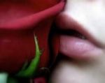 Forse � amore