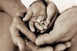 Il seme dell�amore