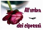 All�ombra dei cipressi