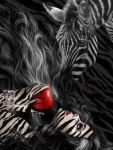Mela e zebra