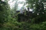 Nella Possente Selva