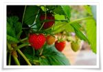 L�amore che cos��?