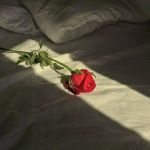 Come l’Alba