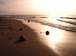 Come giorni di settembre