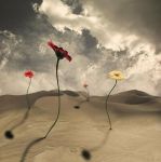 L'amore risorge