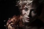 Dipinto d�autunno