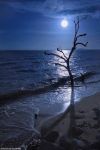 Una Notte D�Estate