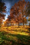 La Forza dell� Autunno